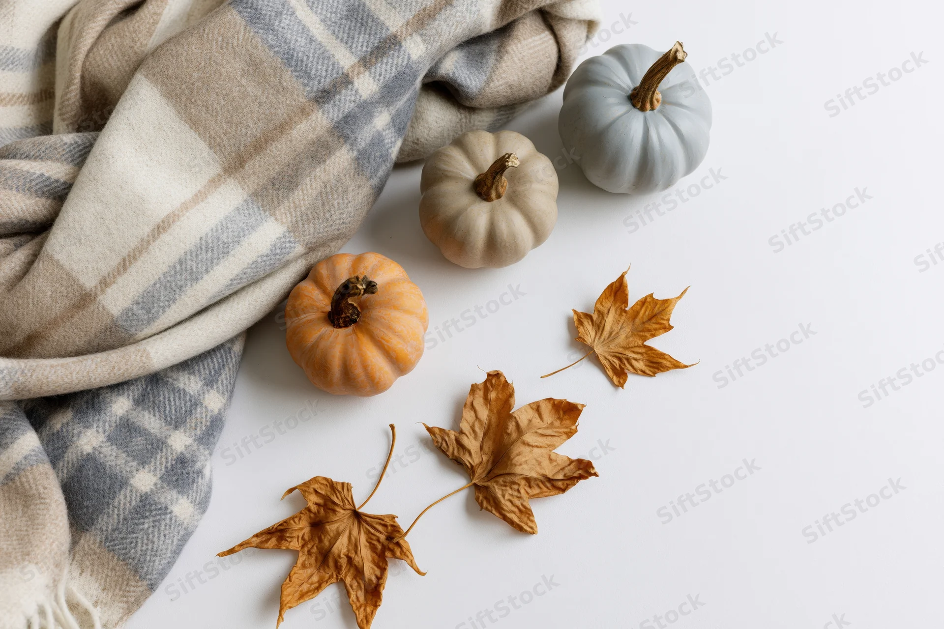 Folded plaid wool scarf with small pumpkins and dried maple leaves arranged on white surface