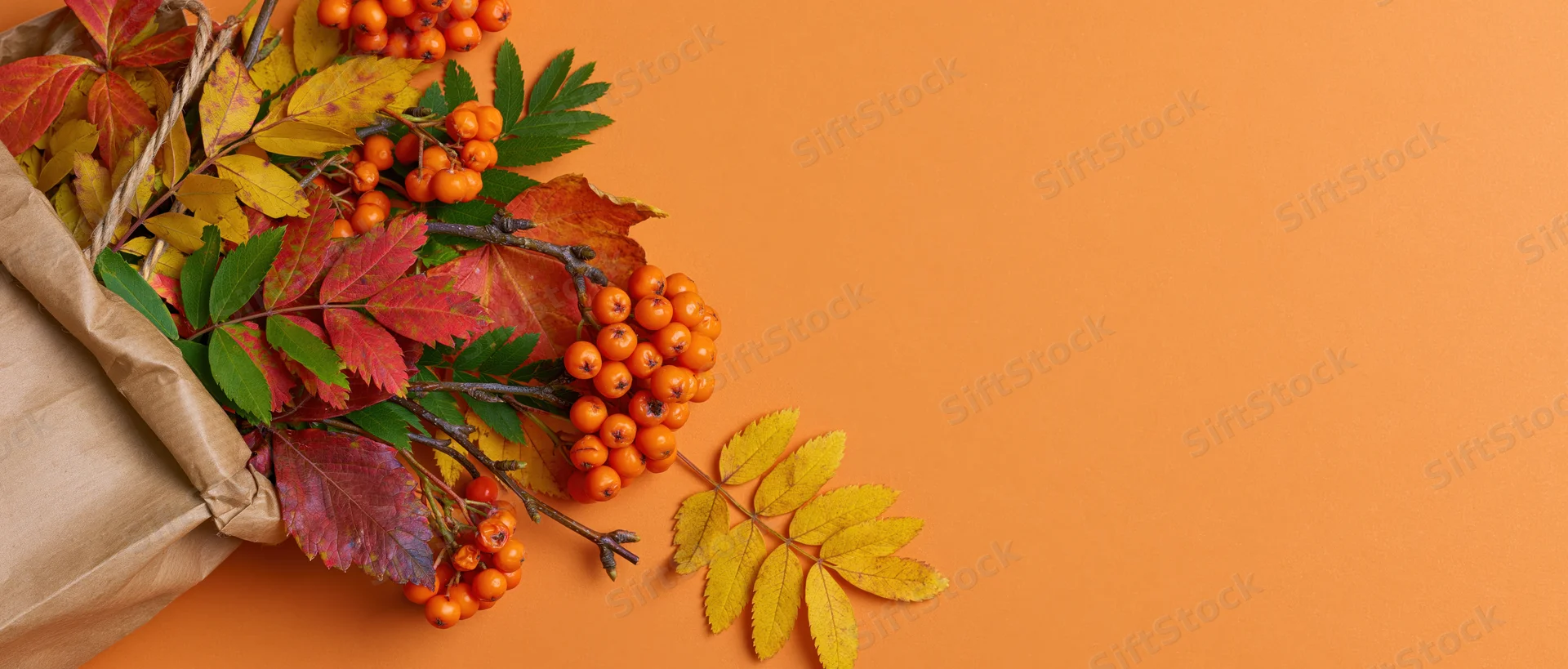 Autumn leaves and orange berries spilling from a kraft paper bag on an orange surface