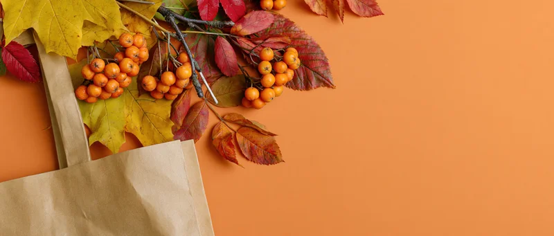 Flat lay of a kraft paper bag with autumn leaves and rowan berries on orange background