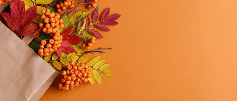 Autumn leaves and rowan berries spilling from a kraft paper bag on orange surface