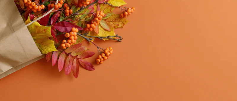 Autumn leaves and orange berries spilling from a kraft paper bag on an orange surface