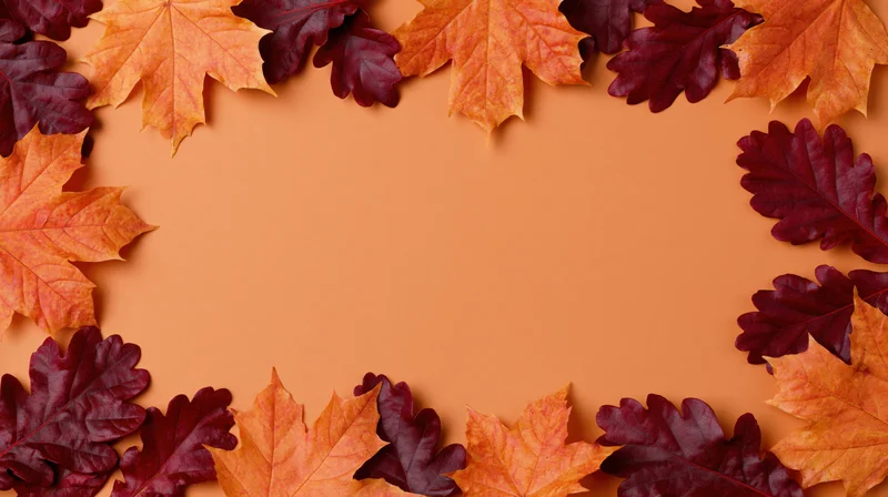 Autumn leaves arranged as a decorative border on orange background with copyspace