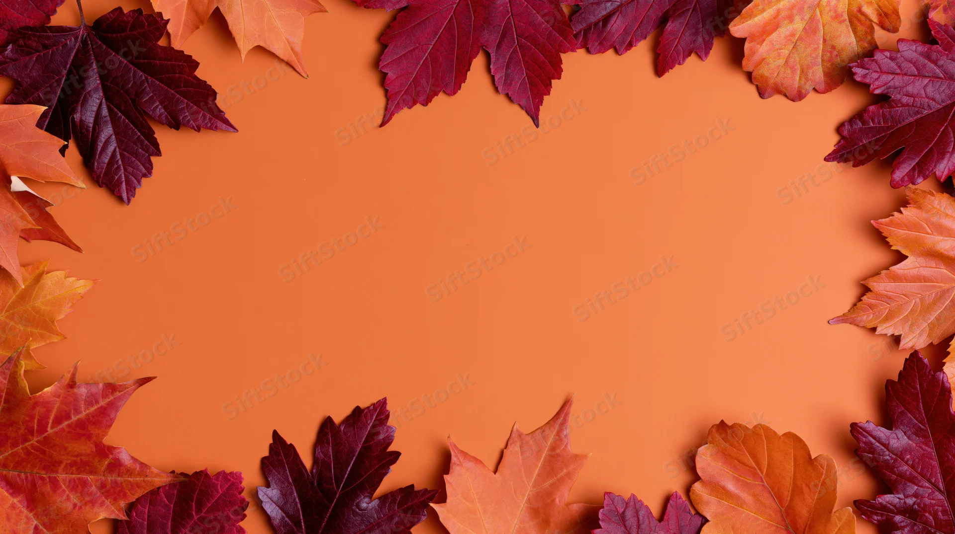 Autumn leaves arranged as a decorative border on orange background with copyspace