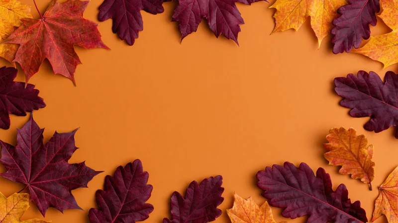 Autumn leaves arranged as a decorative border on orange background