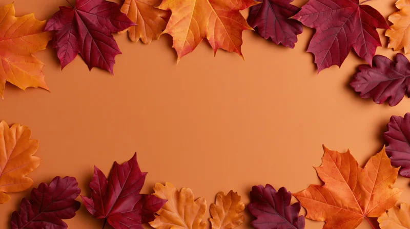 Autumn leaves arranged as a decorative border on an orange surface with copyspace