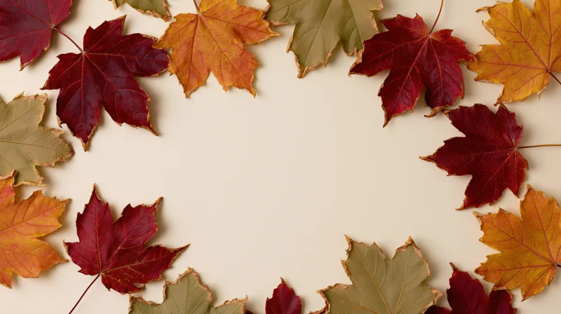 Autumn maple leaves arranged in a loose border frame on cream background with copyspace