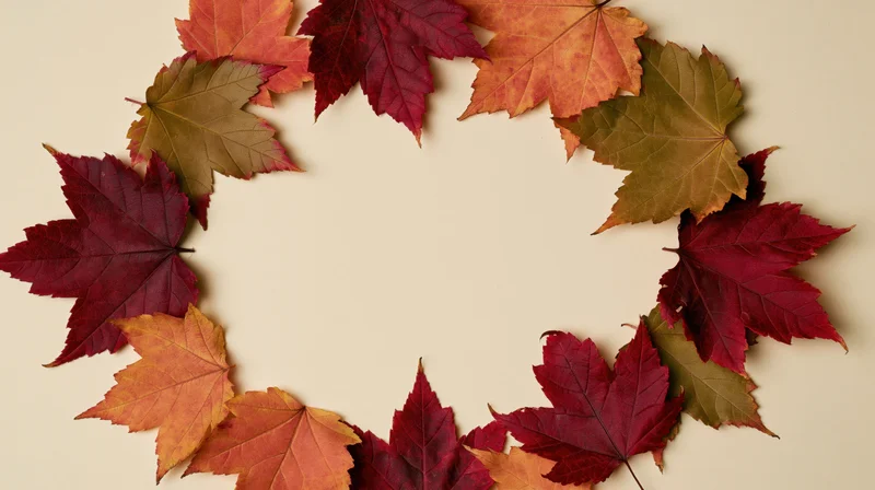 Autumn maple leaves arranged in a loose circular border on beige background with central copyspace
