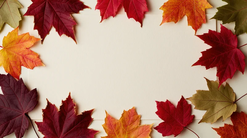 Autumn maple leaves arranged in a loose border frame on a light surface with central copyspace
