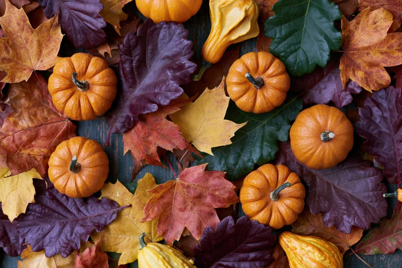 Small pumpkins and gourds arranged with autumn leaves on a wooden surface
