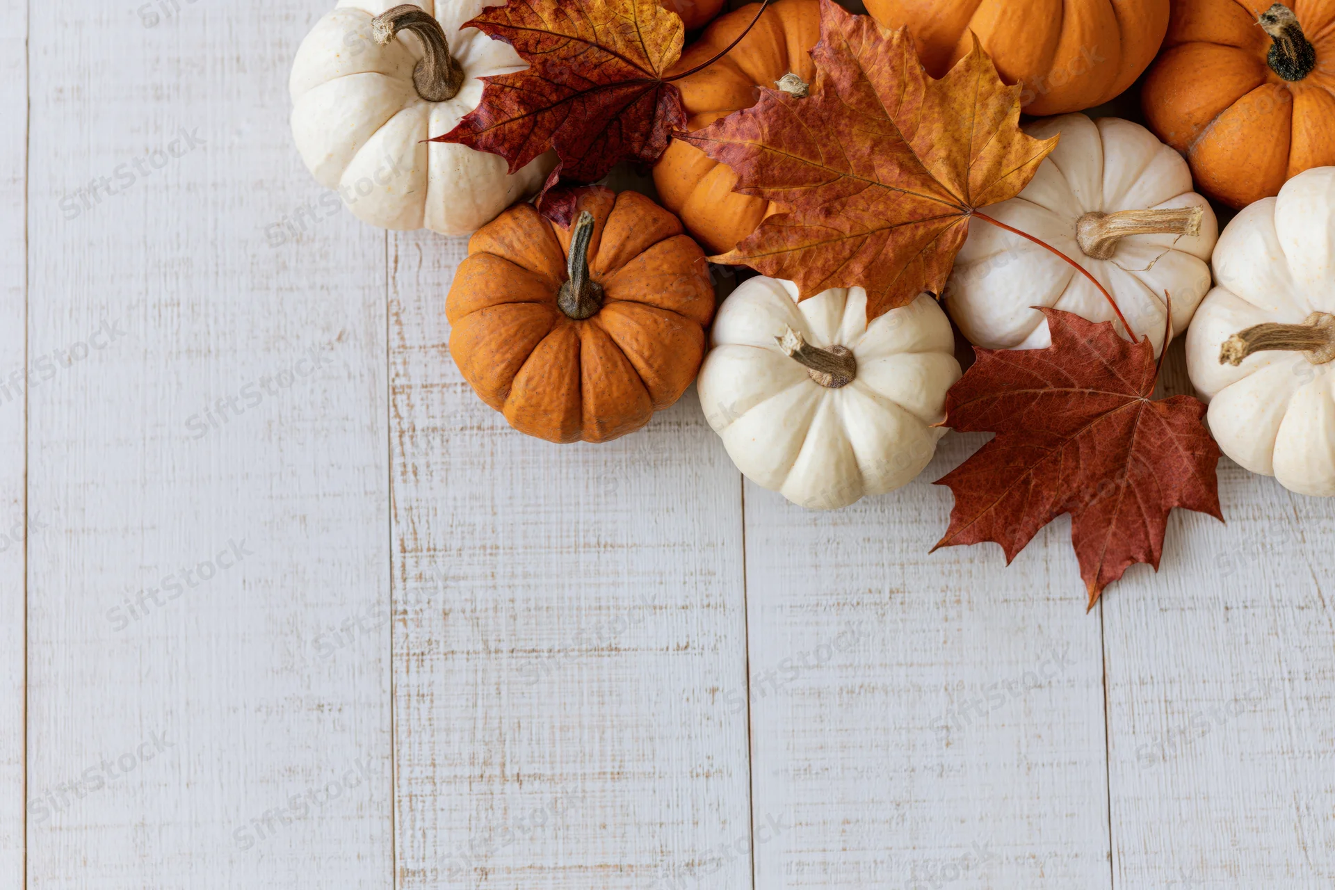 Small orange and white pumpkins with autumn leaves arranged on a white wooden table in a flat lay composition