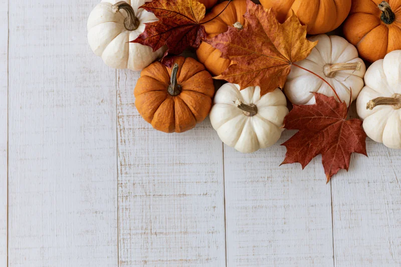Small orange and white pumpkins with autumn leaves arranged on a white wooden table in a flat lay composition