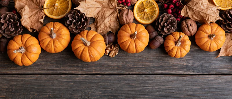 Small orange pumpkins arranged in a row with pinecones, acorns, dried oranges and leaves on a dark wooden table, forming a horizontal border with copyspace below