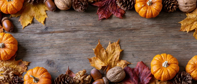 Small orange pumpkins and dried maple leaves arranged in a border on a rustic wooden table