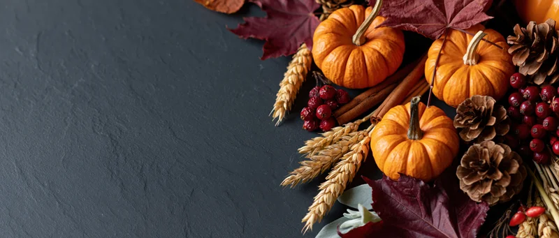 Small orange pumpkins and dried maple leaves arranged with pine cones and wheat on a dark slate surface