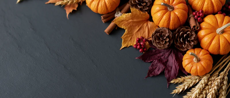 Small orange pumpkins and dried maple leaves arranged with pine cones and wheat stalks on dark slate surface
