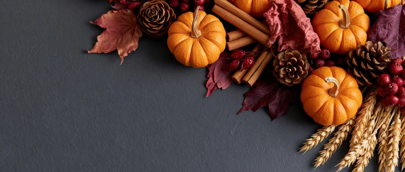 Small orange pumpkins and dried maple leaves arranged with pine cones, cinnamon sticks, berries, and wheat stalks on a dark gray surface