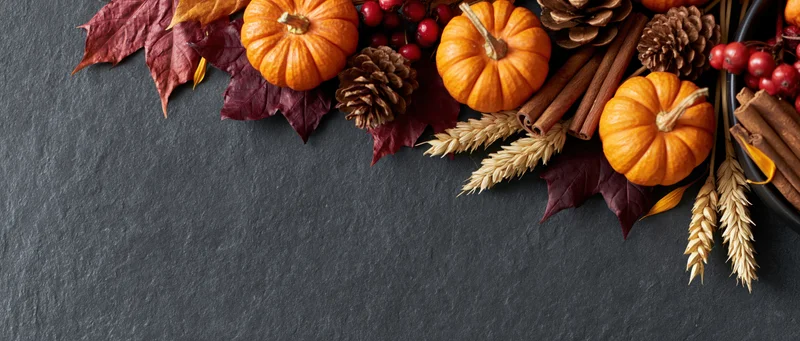 Autumnal flat lay with pumpkins, dried maple leaves, pinecones, cinnamon sticks, wheat, and berries arranged along the top of a dark slate surface