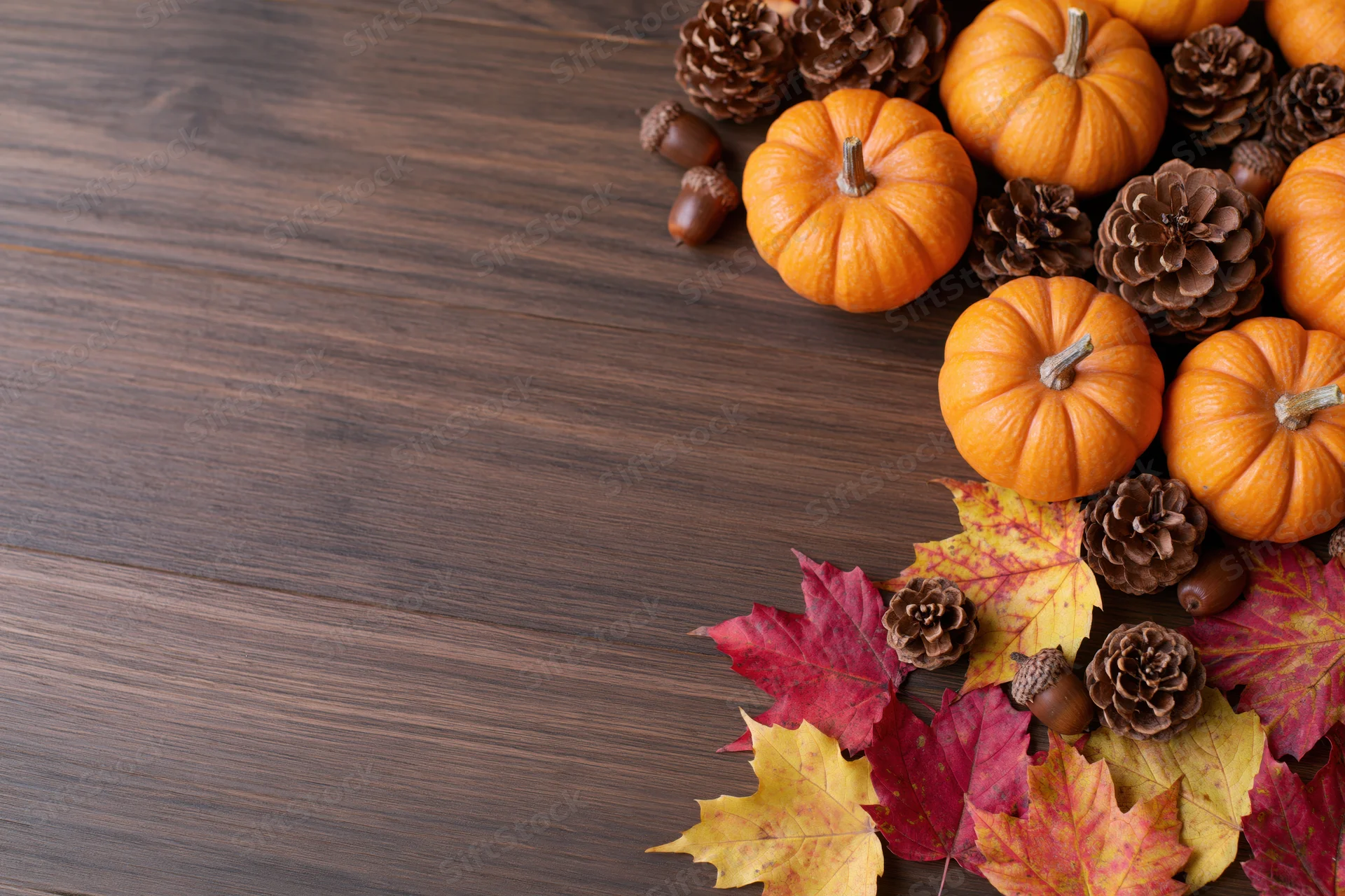 Small orange pumpkins, pinecones, acorns and autumn leaves arranged on a dark wooden table in a flat lay composition with copyspace