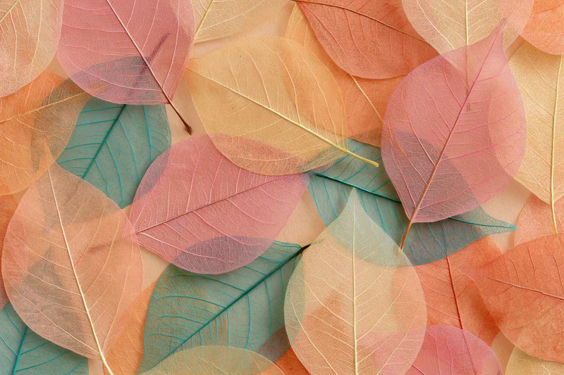 Translucent skeleton leaves scattered in overlapping layers on a flat surface