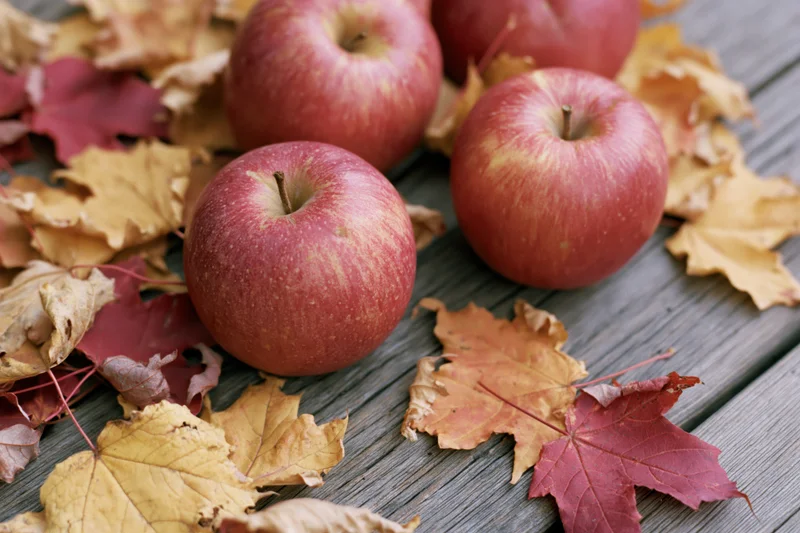Red apples resting on weathered wooden planks surrounded by autumn maple leaves