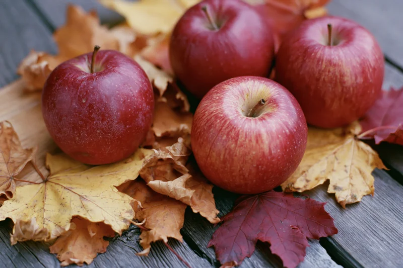 Red apples resting on dried maple leaves atop a weathered wooden plank surface