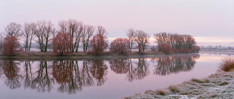 Frost-covered riverbank at sunrise with bare trees reflected in calm water