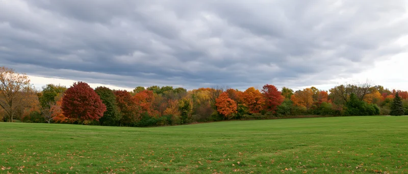 Gently rolling green lawn bordered by dense autumn trees under cloudy sky
