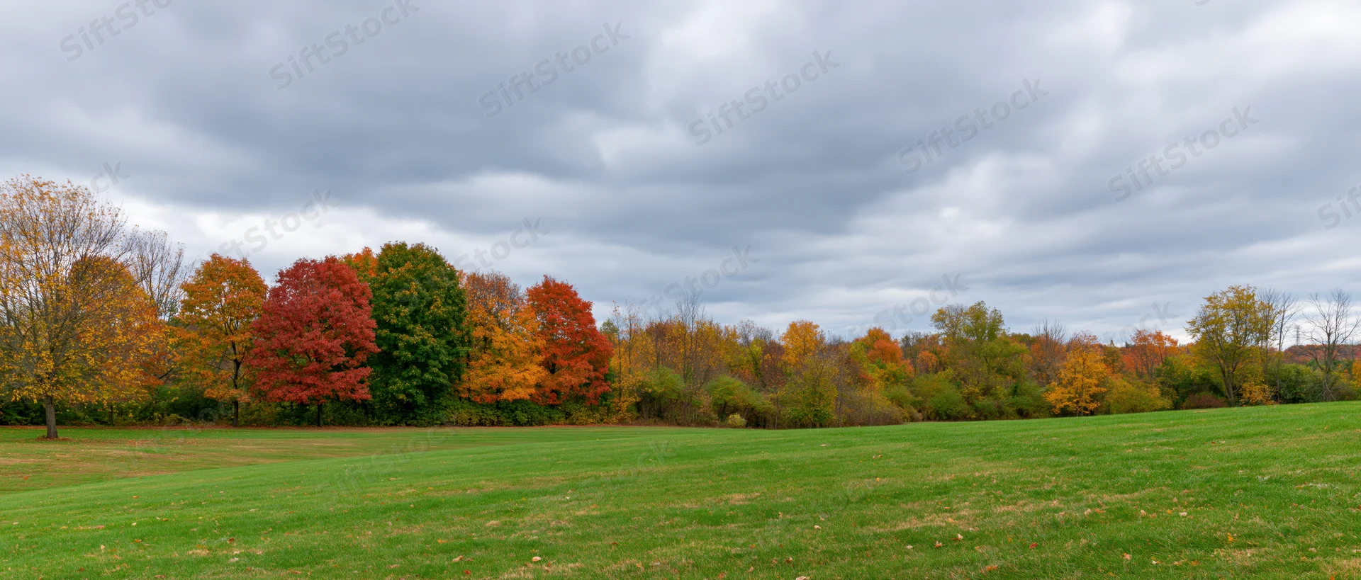 Gently rolling green lawn bordered by colorful autumn trees under cloudy sky