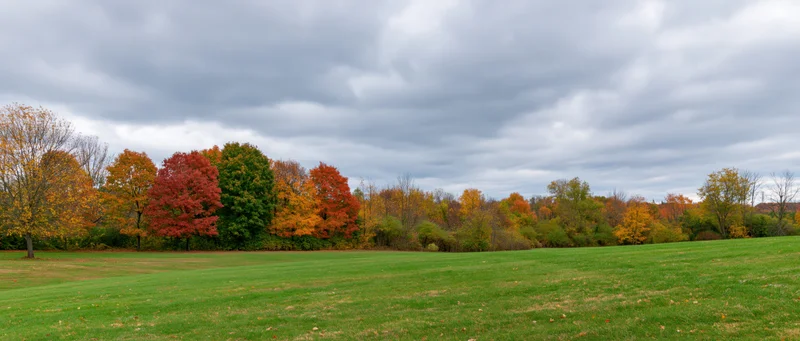 Gently rolling green lawn bordered by colorful autumn trees under cloudy sky