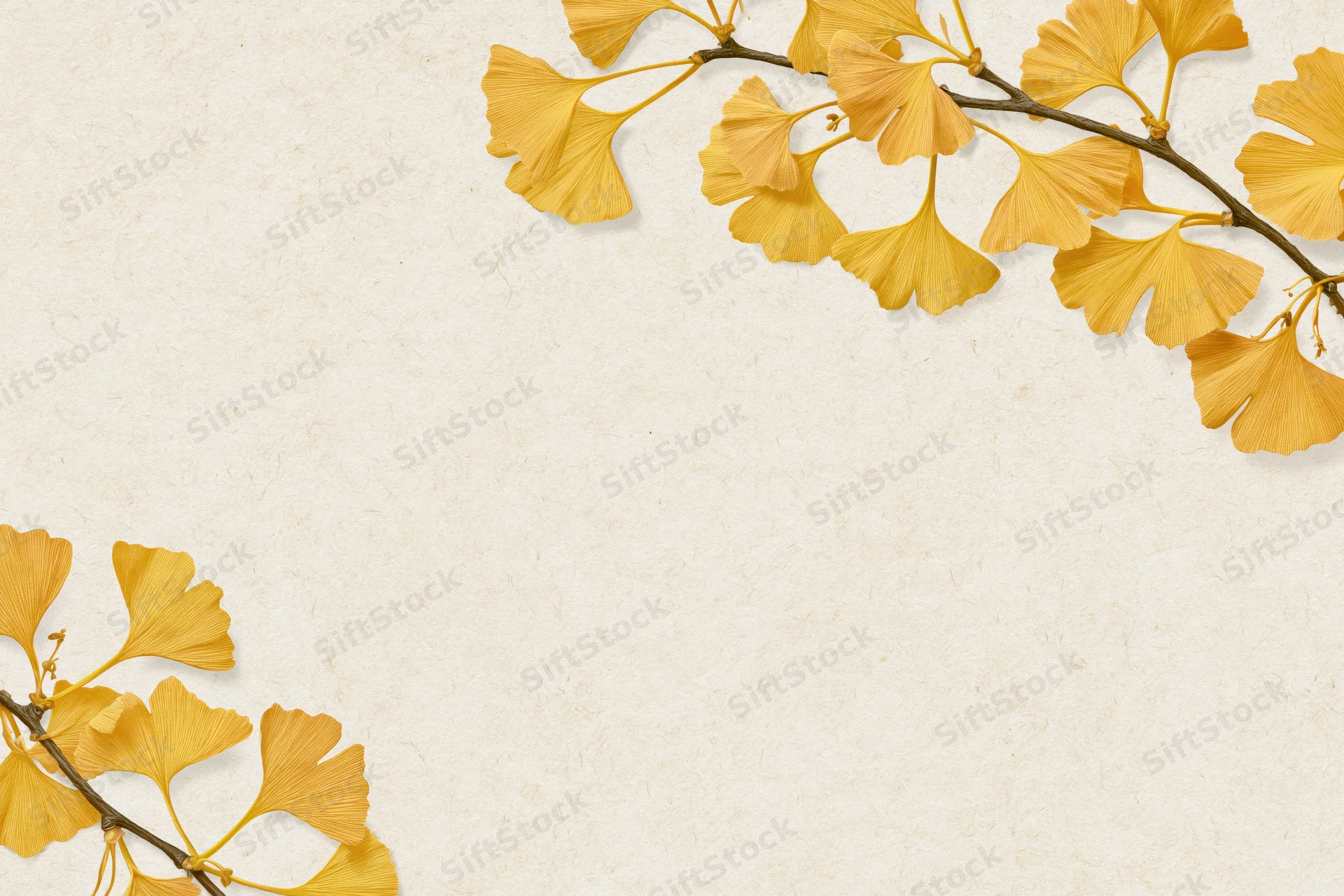 Ginkgo biloba branches with fan-shaped yellow leaves arranged in corners on textured cream paper background