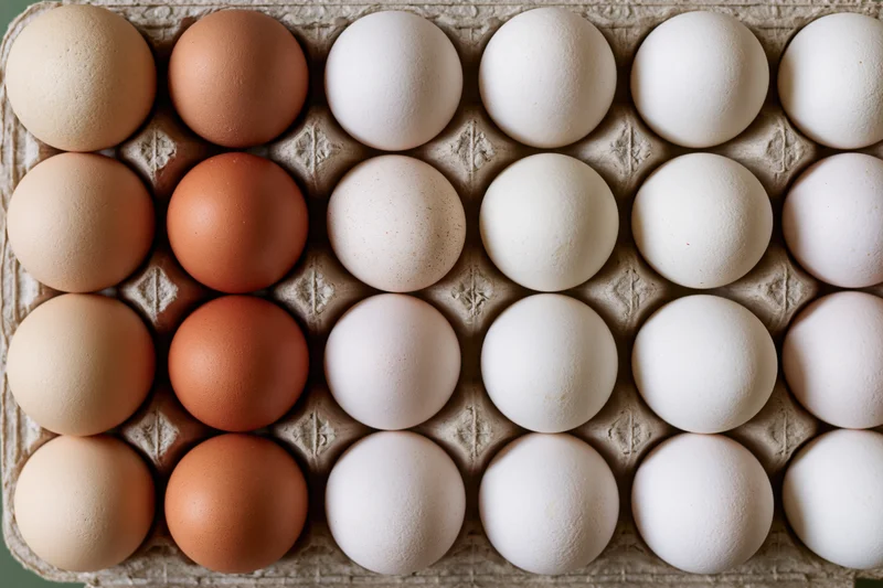 Brown and white eggs arranged in a cardboard tray