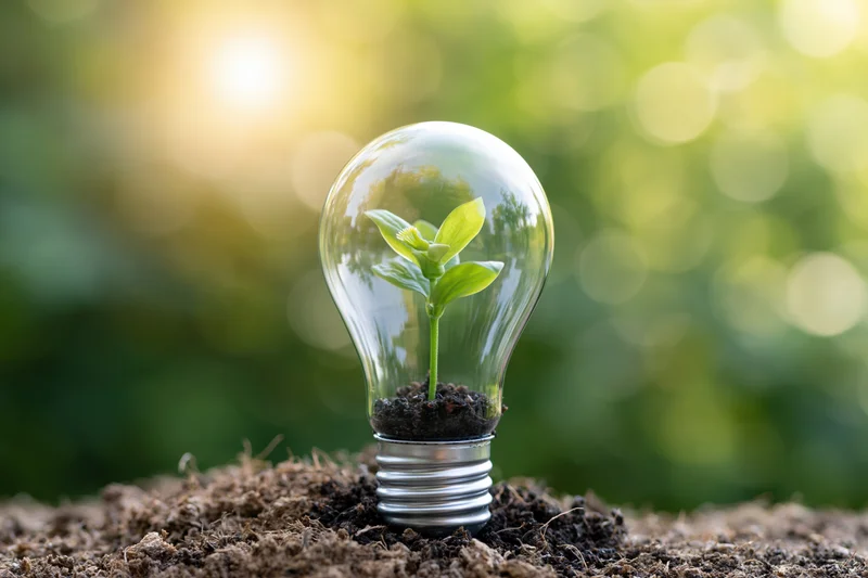 Clear glass lightbulb planted in soil with a small green sprout growing inside, set against a blurred natural background with sunlight
