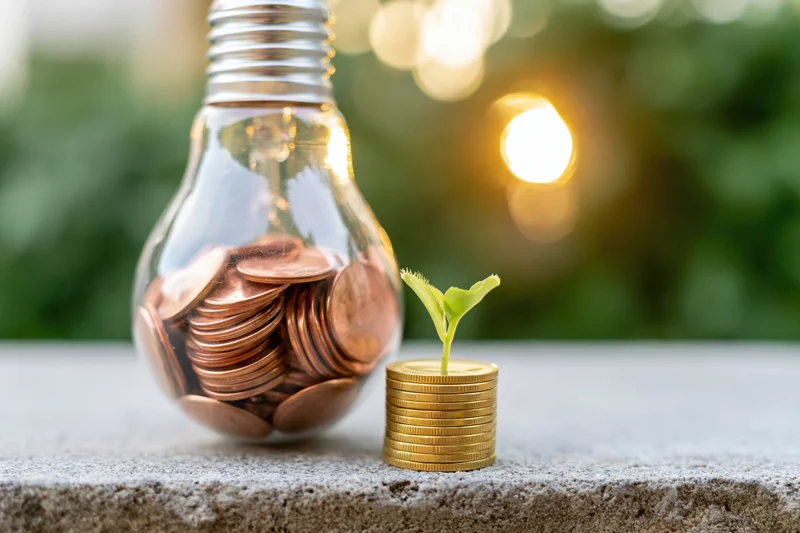 Glass lightbulb filled with copper coins beside a stack of gold coins with a small green sprout growing from it on a concrete surface outdoors