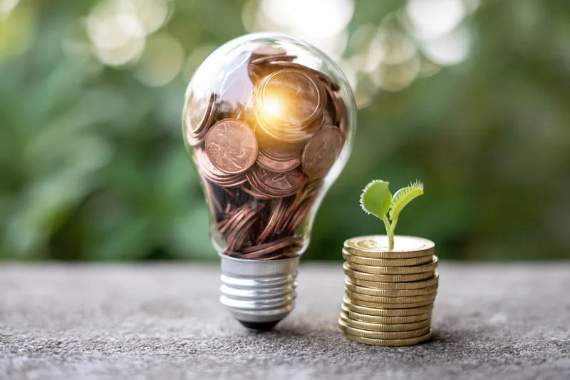 Glass lightbulb filled with copper coins beside a stack of gold coins with a green sprout growing from it on a concrete surface outdoors