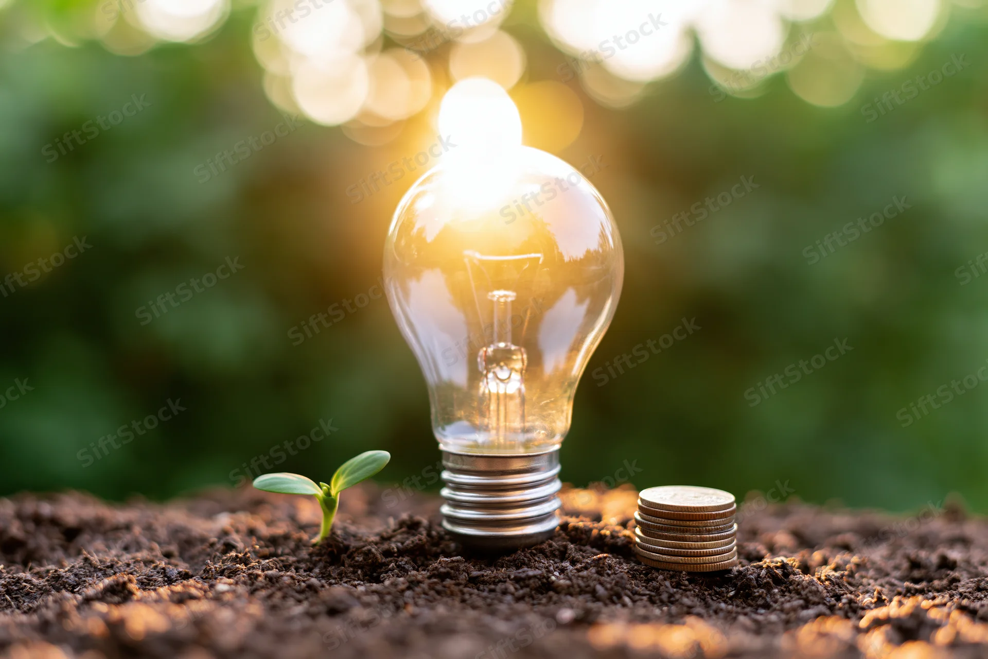 Glowing incandescent lightbulb standing in dark soil beside a small green sprout and a stack of coins