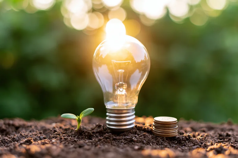 Glowing incandescent lightbulb standing in dark soil beside a small green sprout and a stack of coins