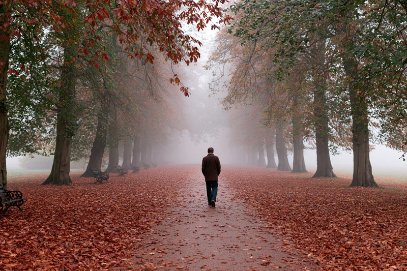 Man walking away down a leaf-covered park avenue in foggy autumn weather