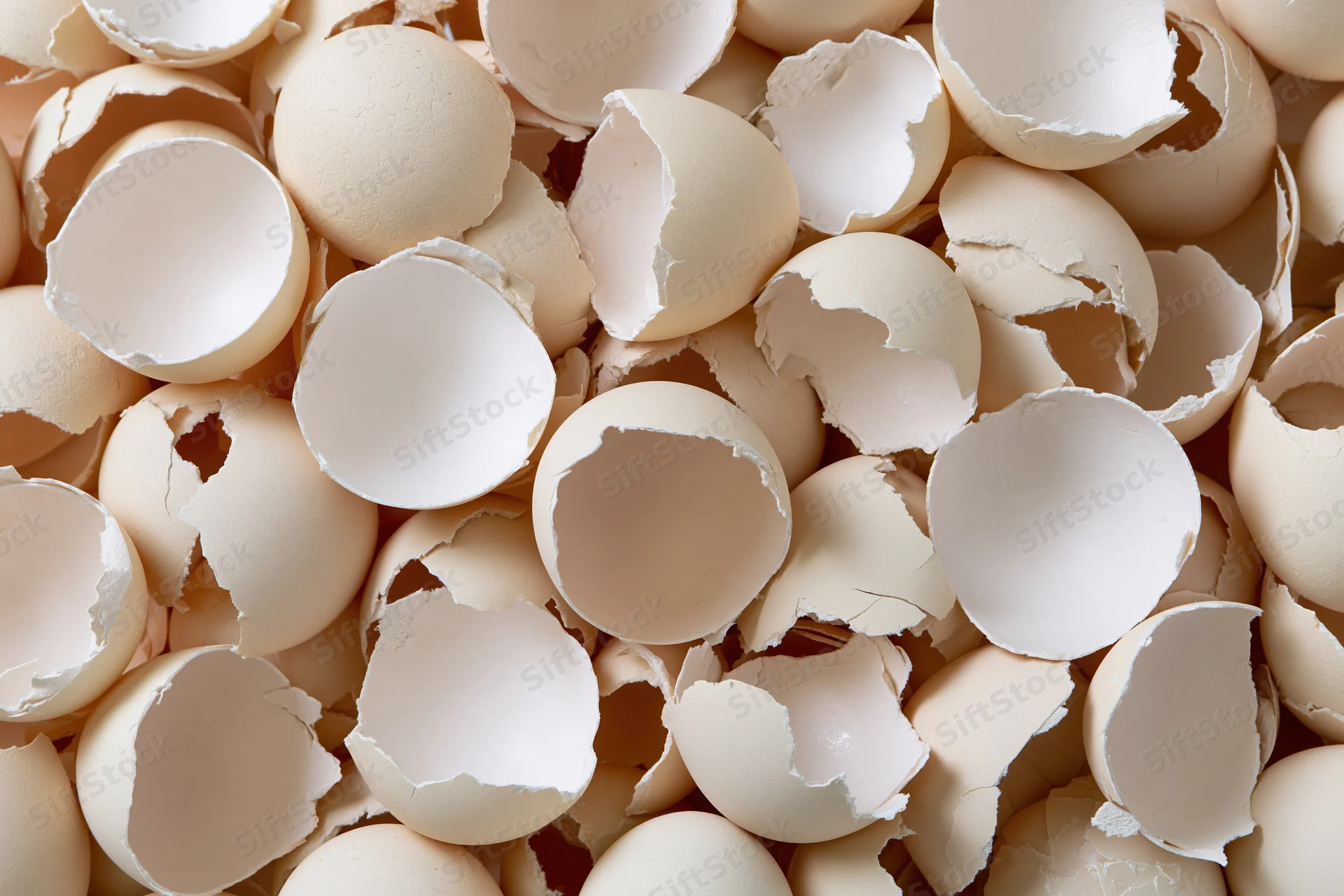 A pile of cracked empty eggshells heaped together filling the frame