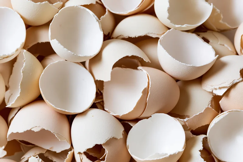 Cracked empty eggshells heaped together filling the frame