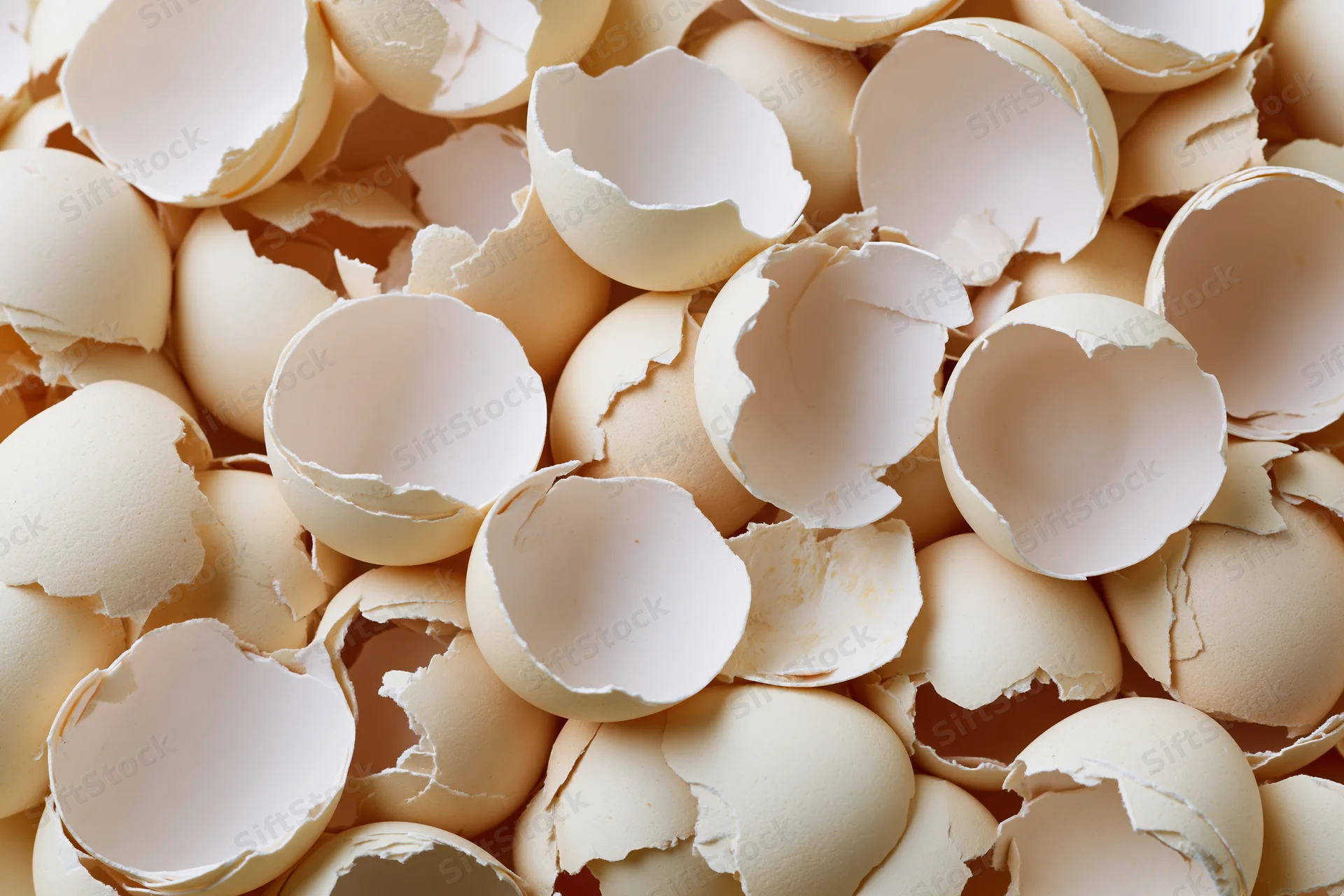 A pile of cracked empty eggshells heaped together filling the frame