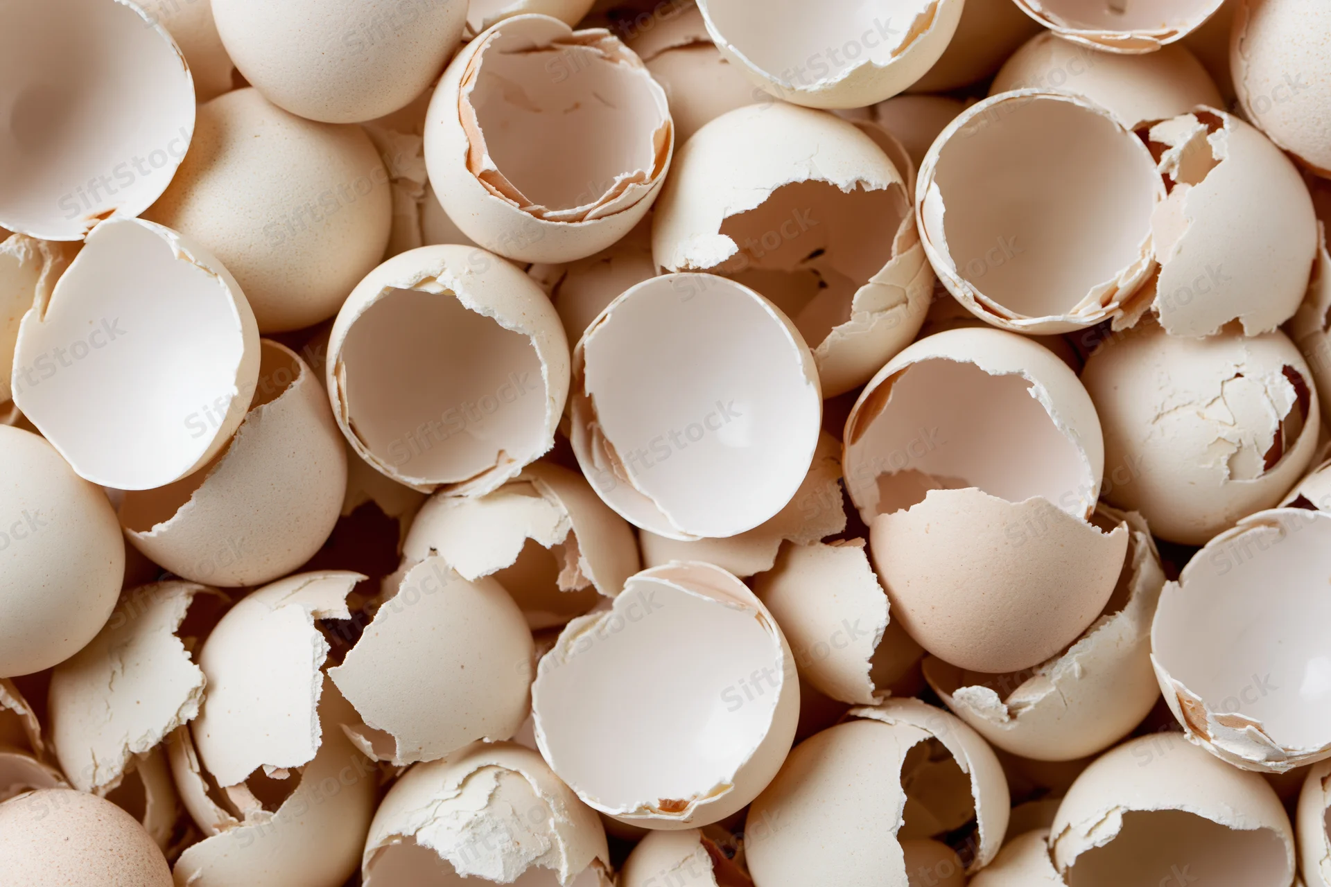 A pile of cracked empty eggshells heaped together filling the frame