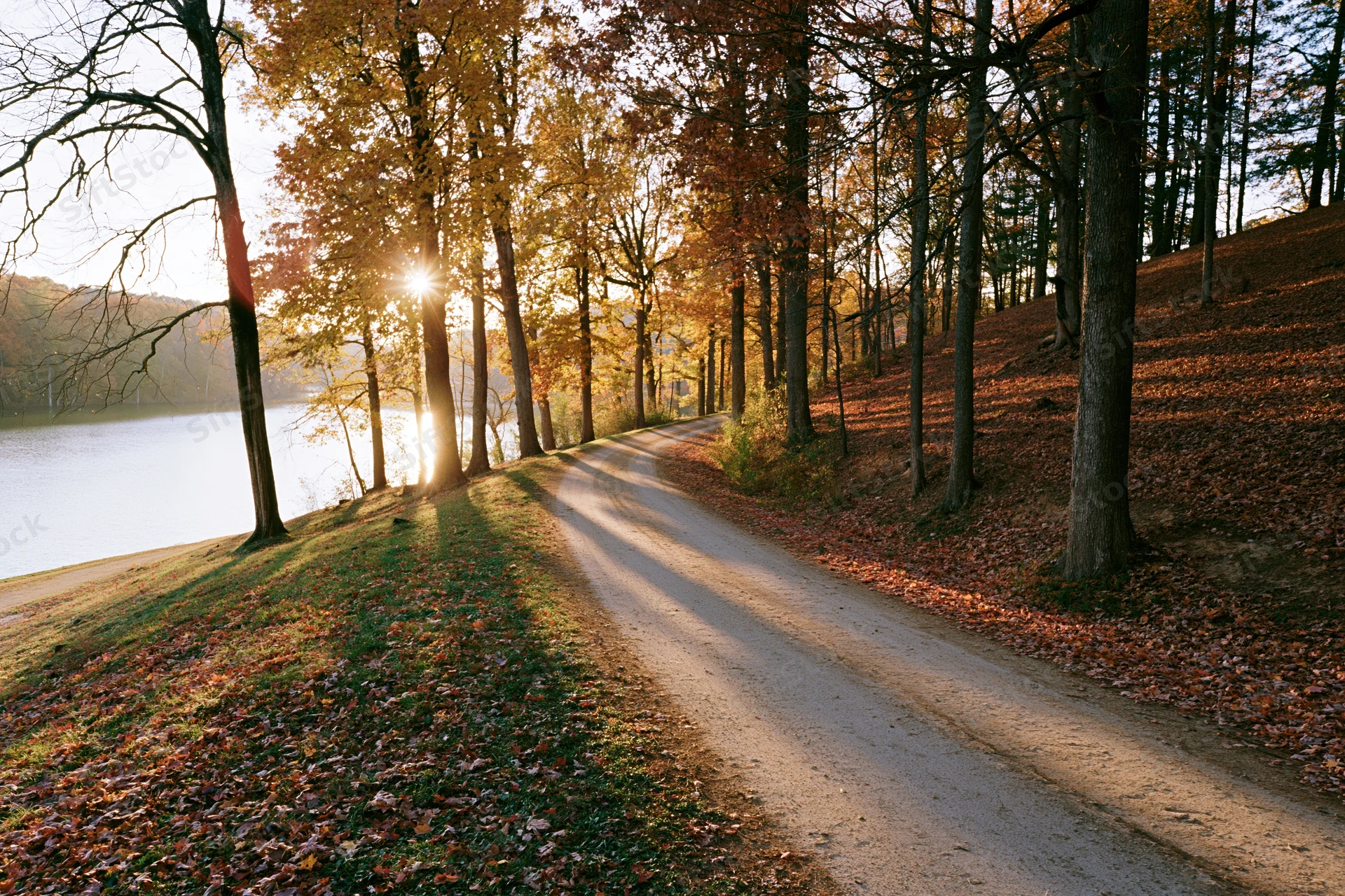 Dirt road curving through autumn deciduous trees beside a lake