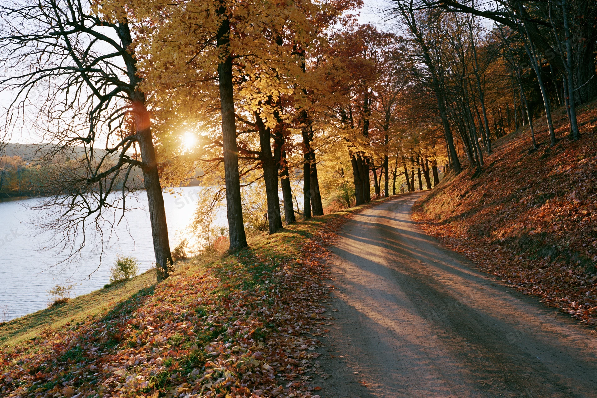 Winding dirt road lined with autumn deciduous trees beside a lake at sunrise