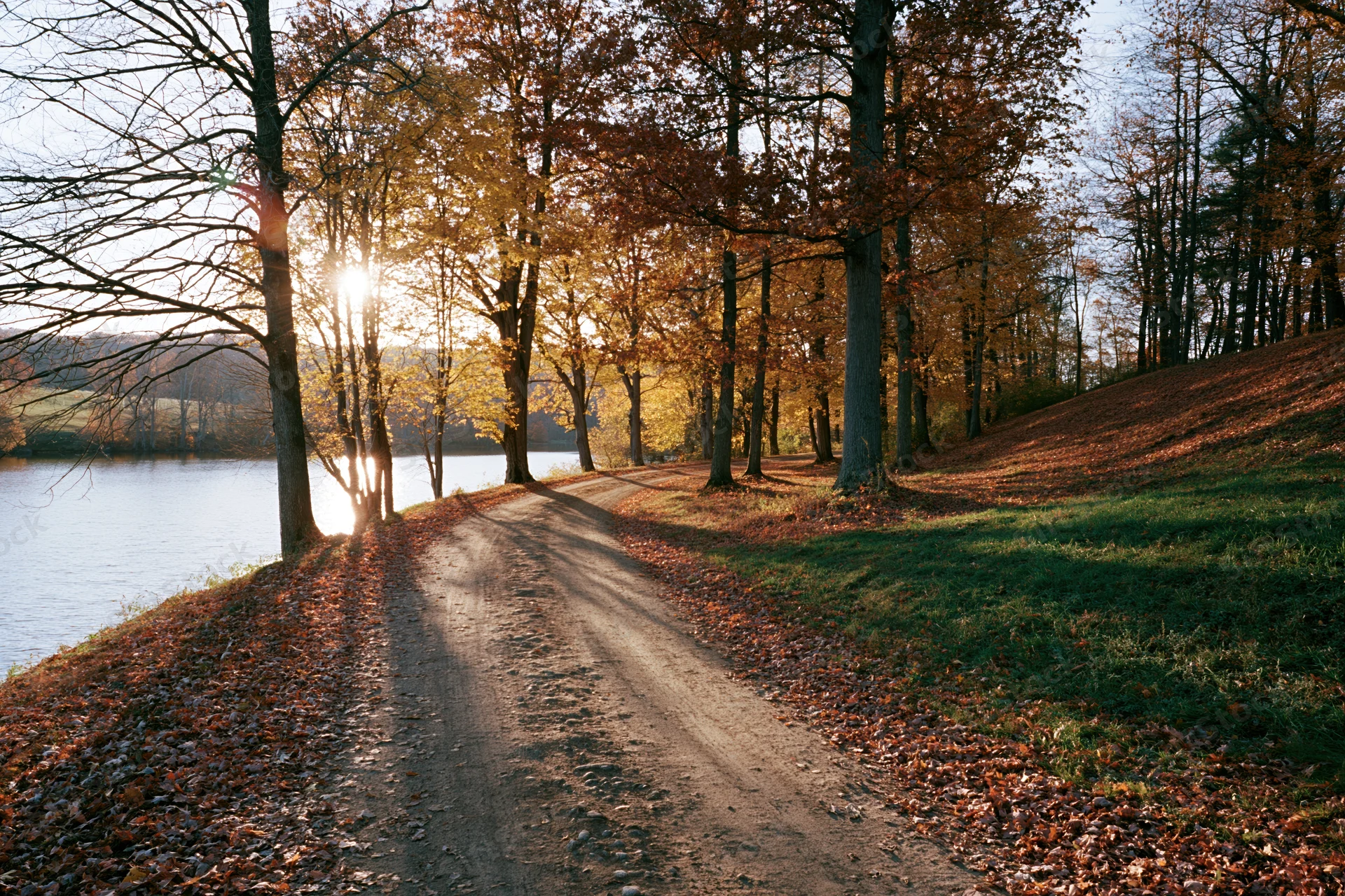 Dirt road winding through autumn deciduous trees beside a lake at sunrise