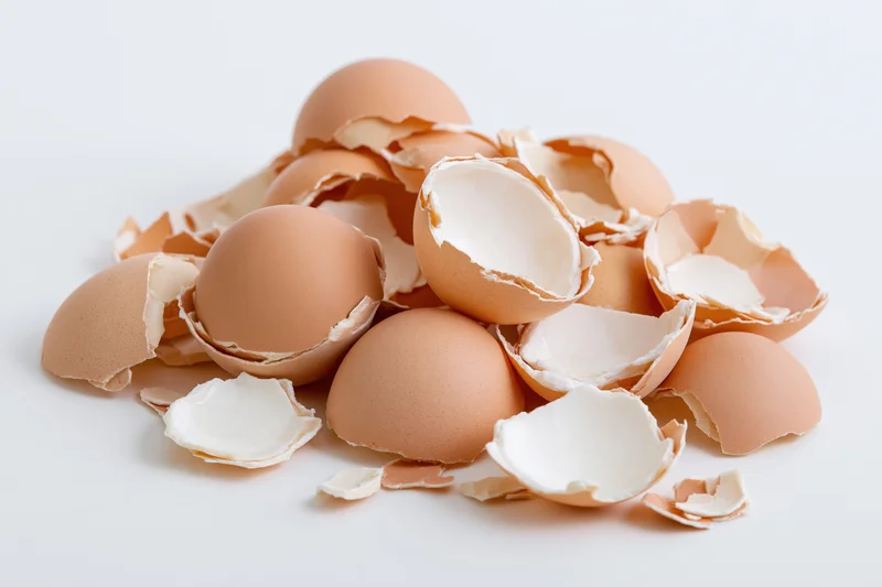 Scattered broken eggshells piled loosely on a white surface