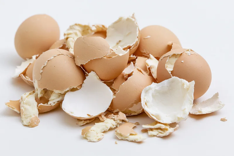 Scattered broken eggshells arranged loosely on a white surface