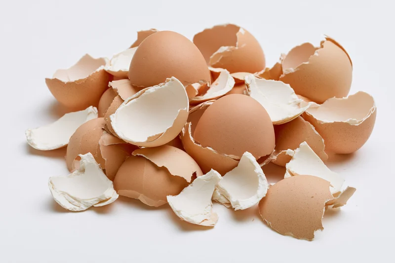 Scattered broken eggshells piled loosely on a white surface