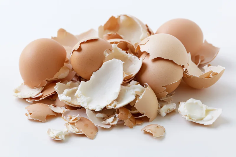 Scattered broken eggshells piled loosely on white surface