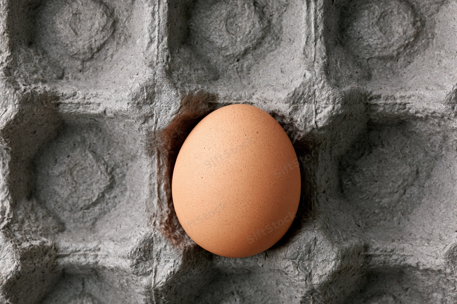 Single brown chicken egg resting in a molded paper carton cell