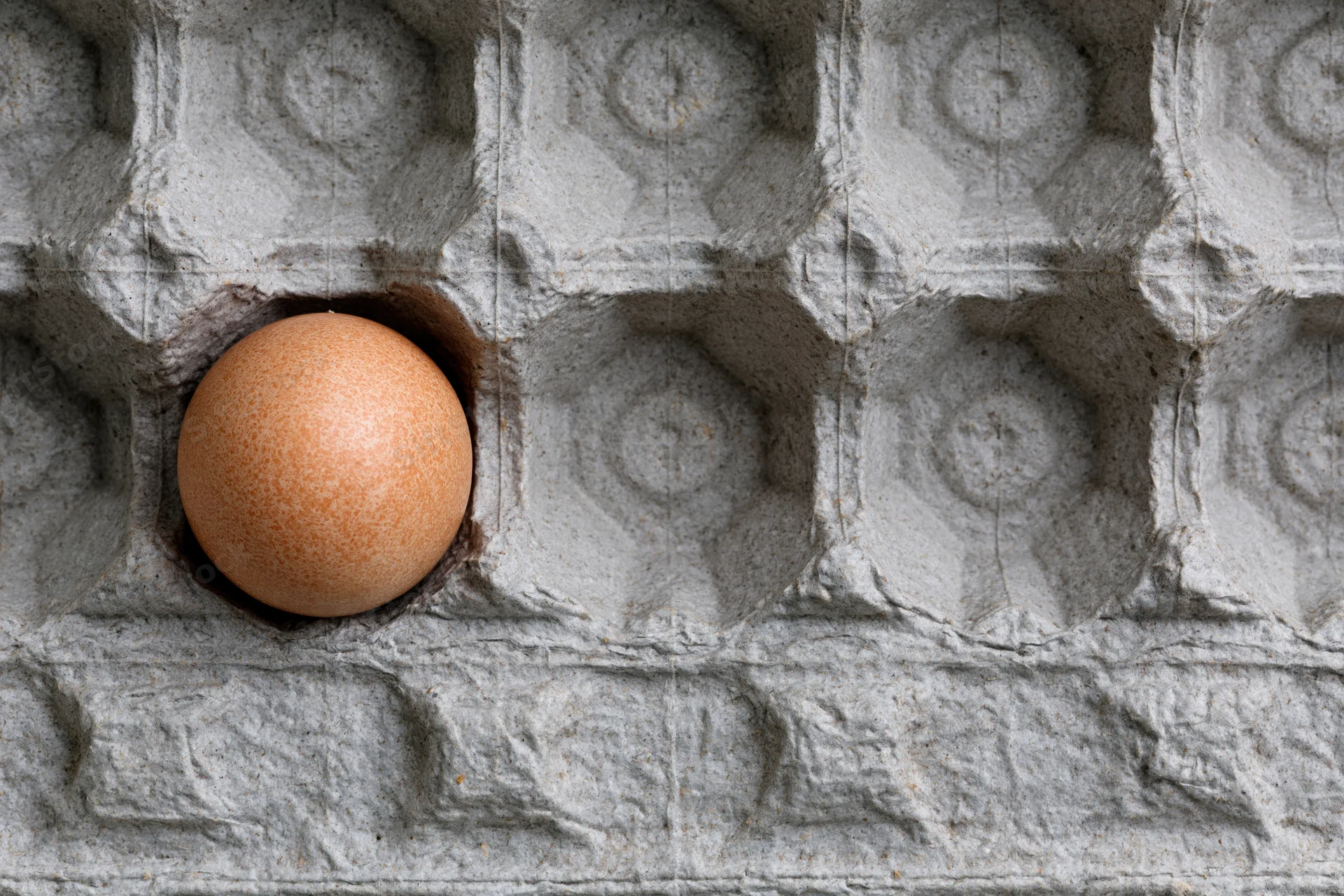 Single brown chicken egg resting in one cell of a gray paper egg carton